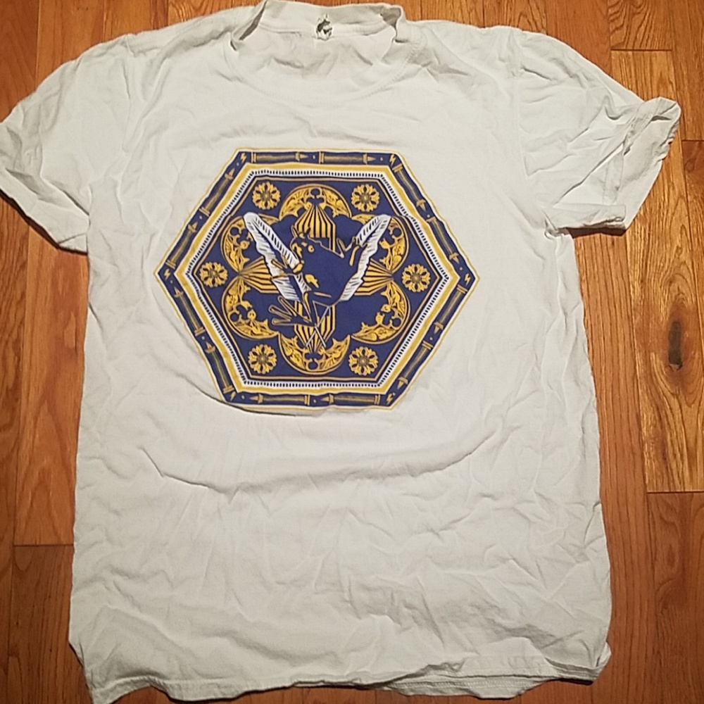 Harry Potter Chocolate Frog Shirt